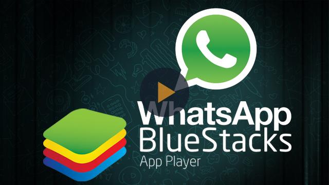 Whatsapp for bluestacks download free